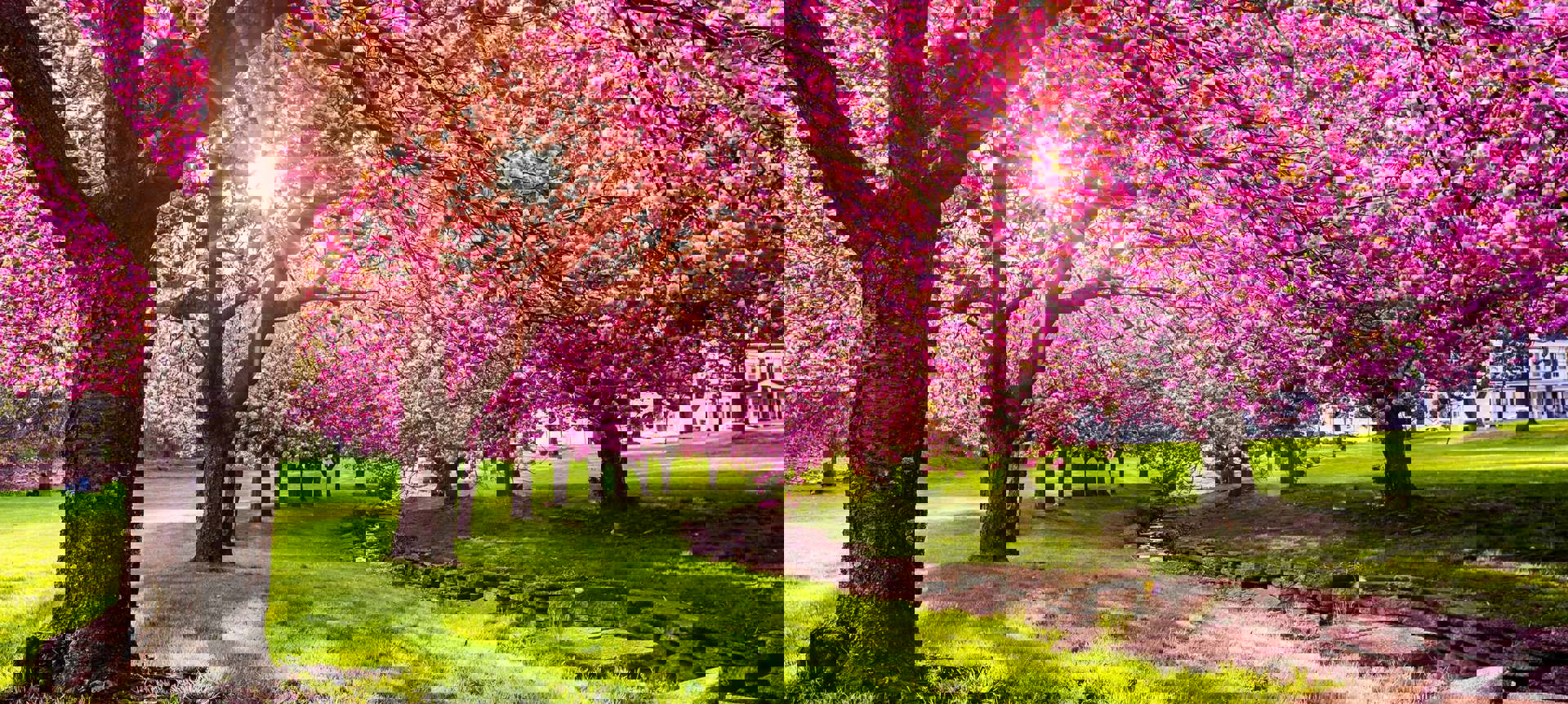 Your Home is Our Home