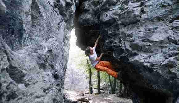 Premier Interest Checking